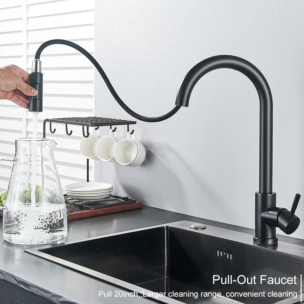 Black Pull-Out Kitchen Faucet with Dual Function