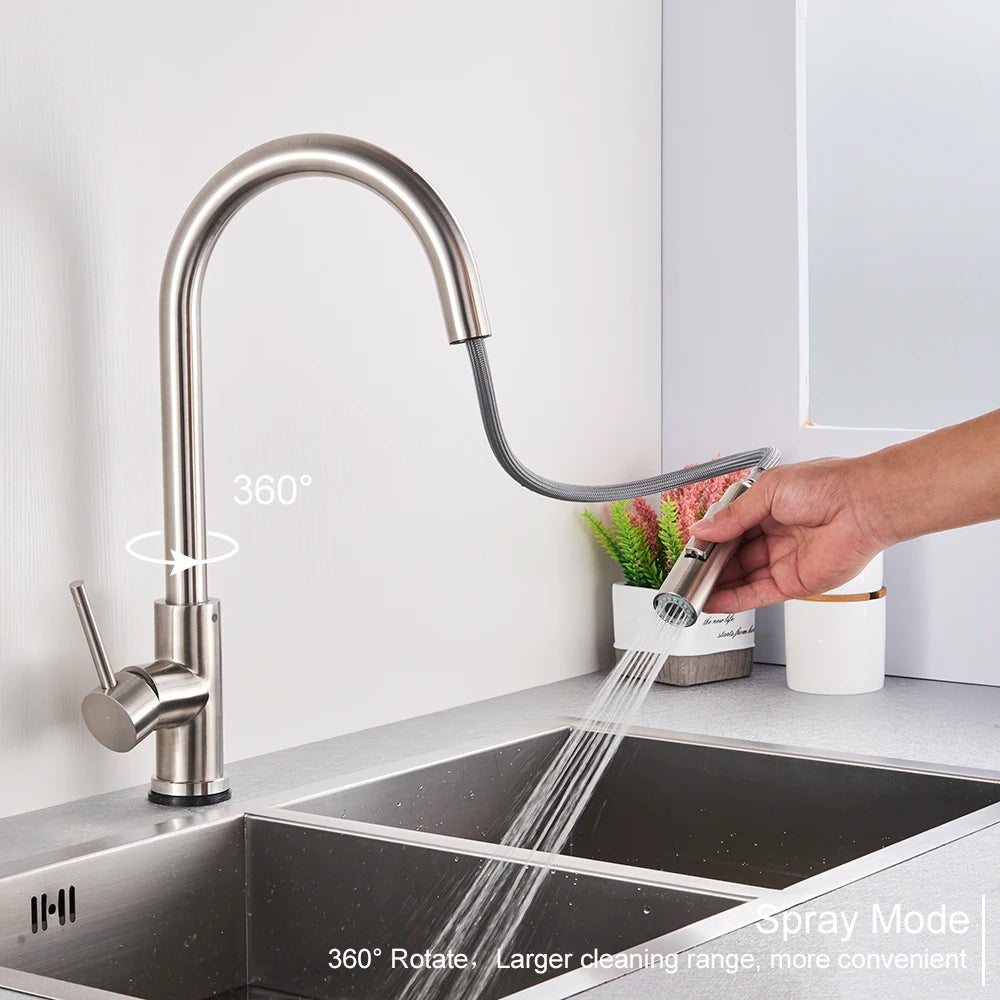 Black Pull-Out Kitchen Faucet with Dual Function