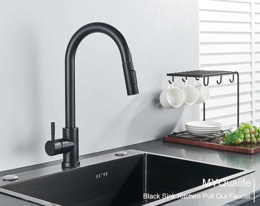 Black Pull-Out Kitchen Faucet with Dual Function