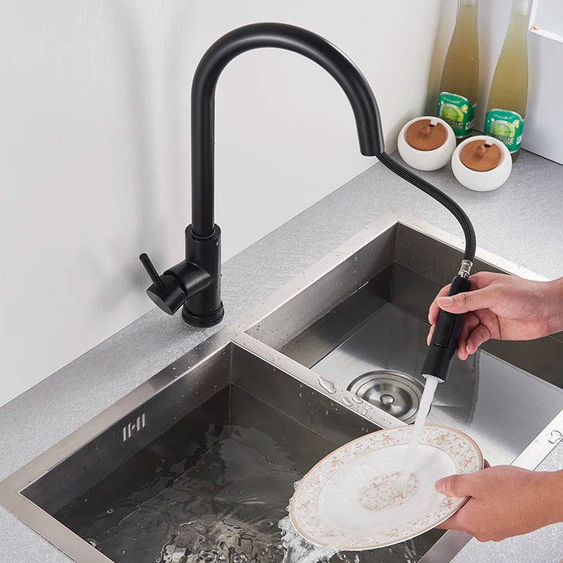 Black Pull-Out Kitchen Faucet with Dual Function