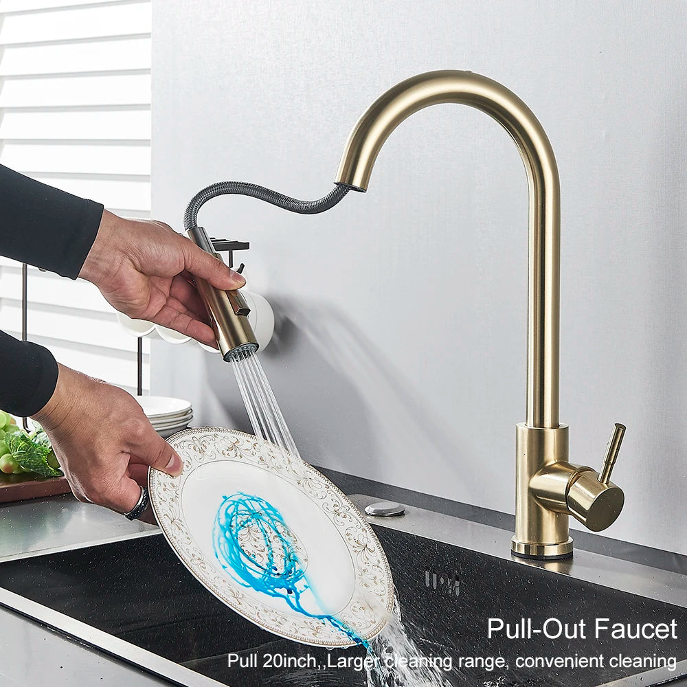 Black Pull-Out Kitchen Faucet with Dual Function