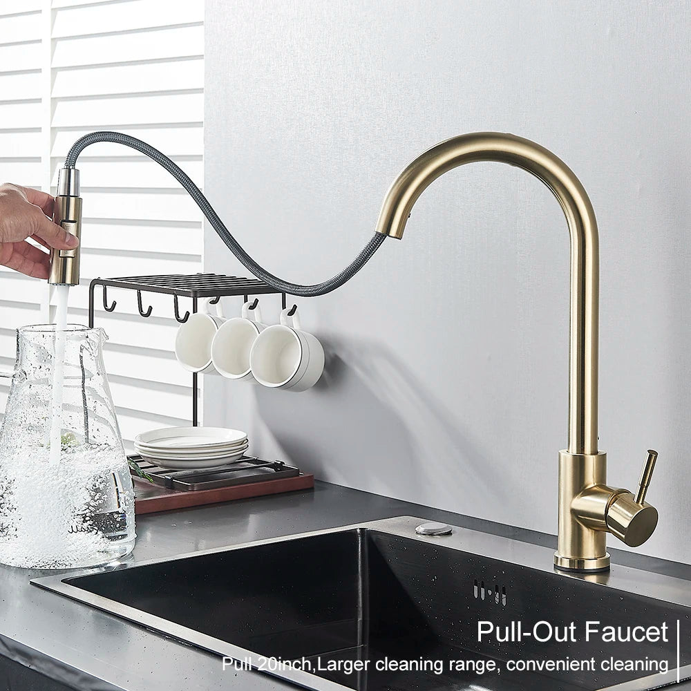 Black Pull-Out Kitchen Faucet with Dual Function