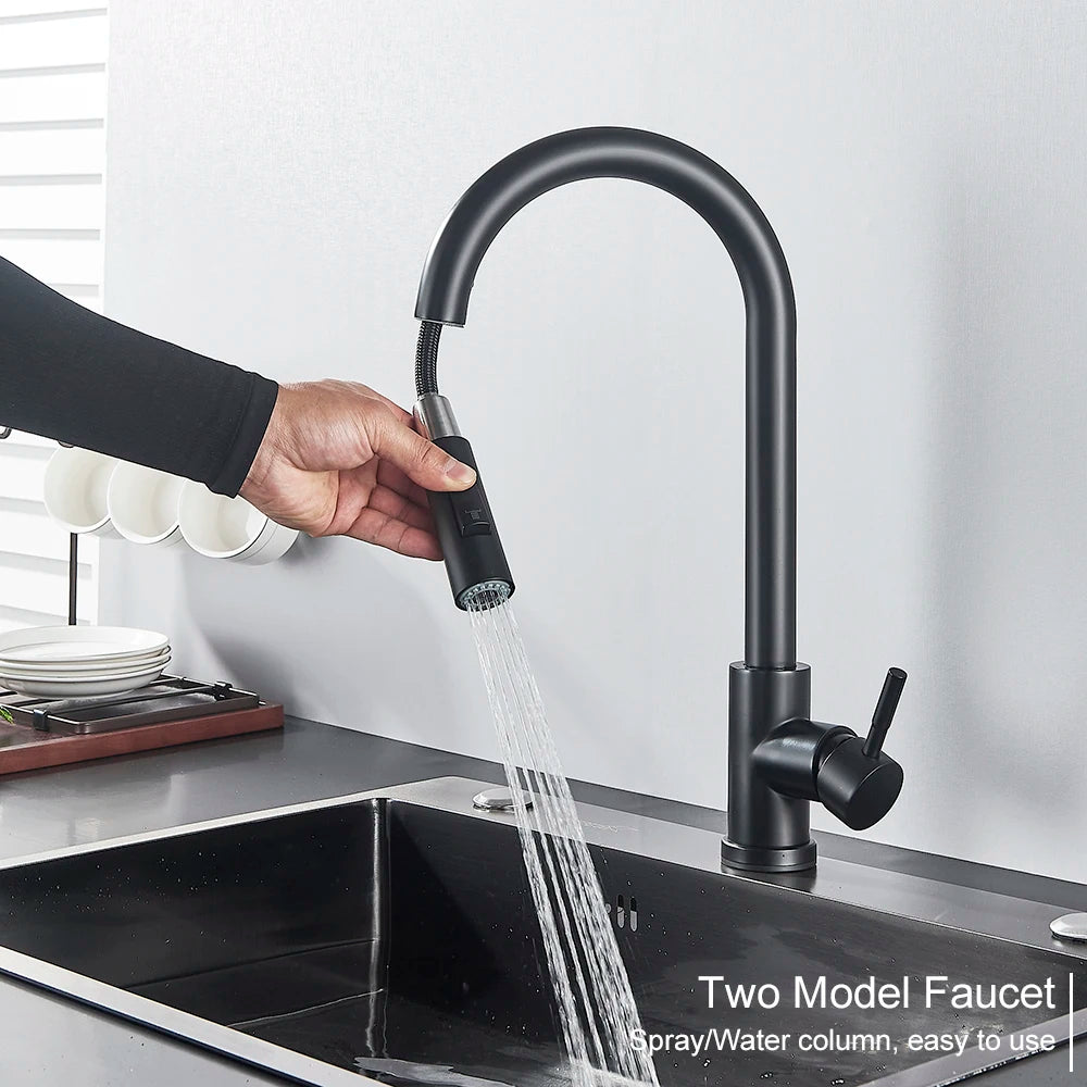 Black Pull-Out Kitchen Faucet with Dual Function