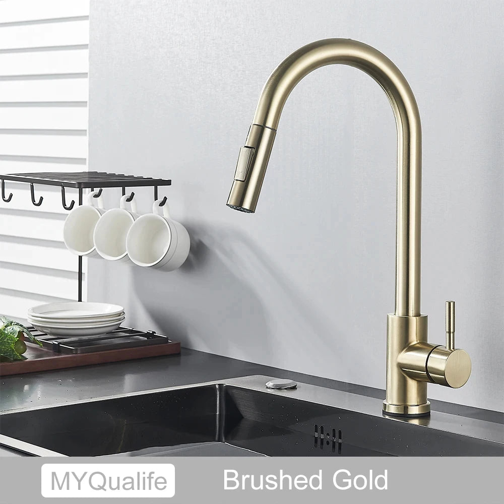 Black Pull-Out Kitchen Faucet with Dual Function