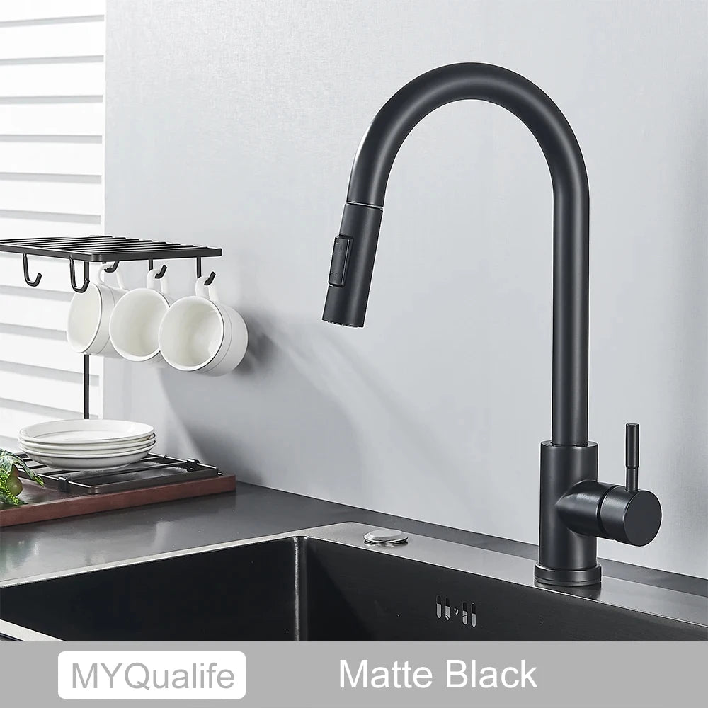 Black Pull-Out Kitchen Faucet with Dual Function