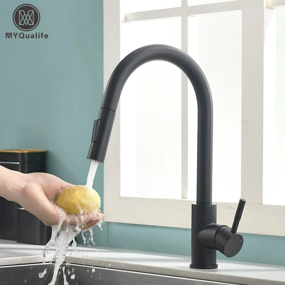 Black Pull-Out Kitchen Faucet with Dual Function