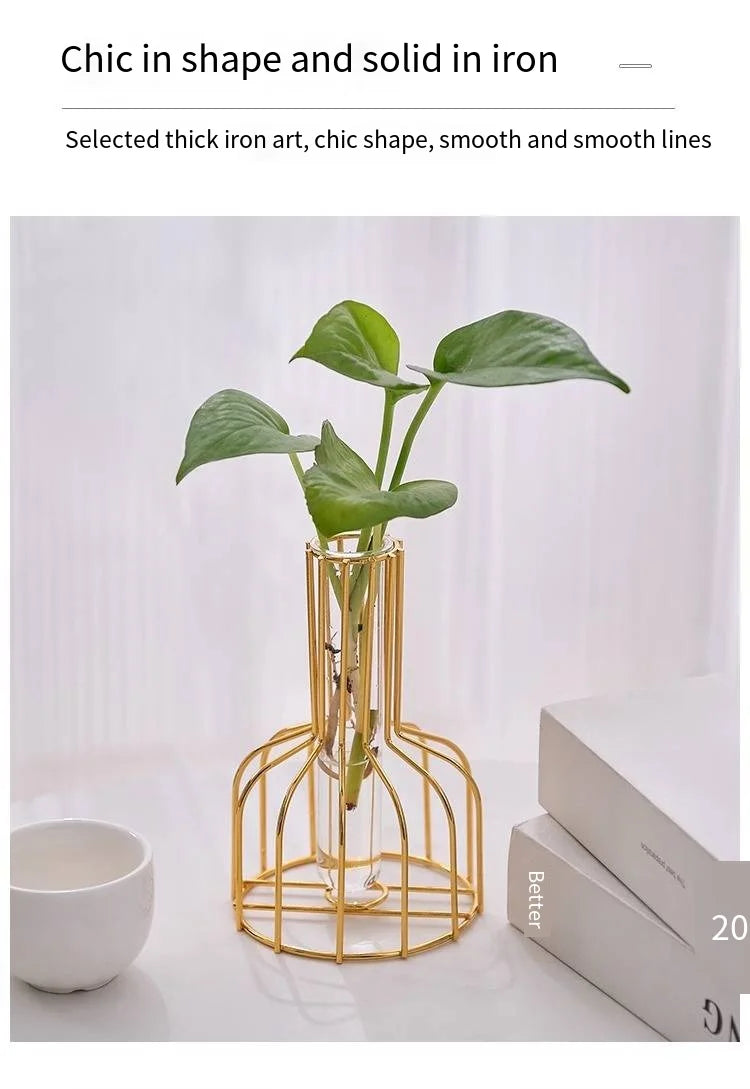 Gold Wrought Iron Metal Vase Set – Hydroponic Test Tube Design for Living Room