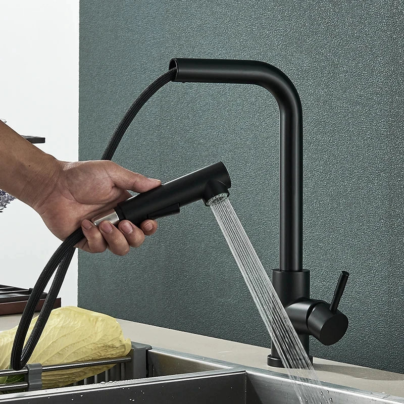 Black 360° Rotating Kitchen Faucet with Mixer Tap